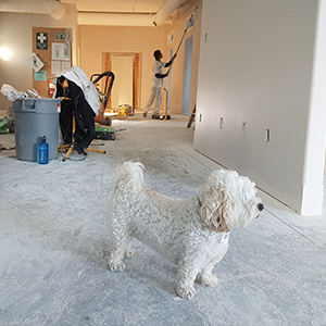 This image for Image Layouts addon